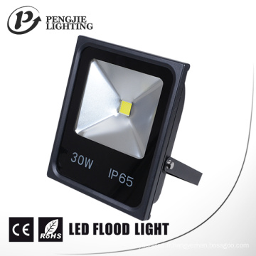 Lumières d&#39;inondation extérieures de la nouvelle conception COB 30W IP65 LED de 2016